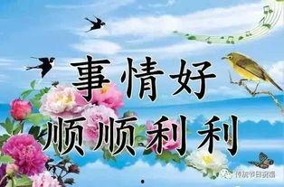 好事成双,双喜临门的美好时光