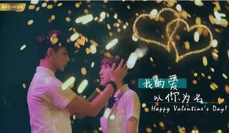 以你为名,以AI助手为名的智能时代之旅