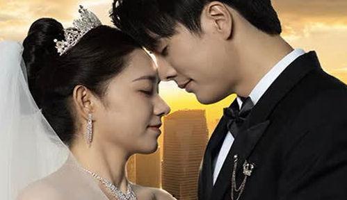 夫人难追，傅总请自重,夫人难追的甜蜜挑战