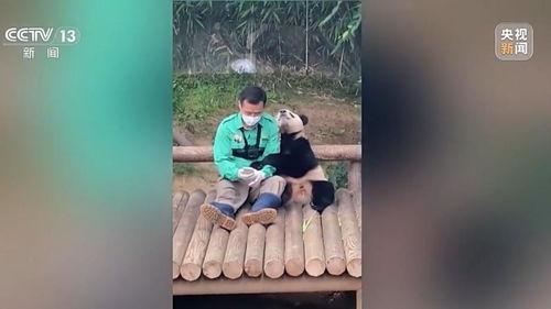 捡来的女儿是隐藏款福宝,揭秘隐藏款福宝的温馨奇遇